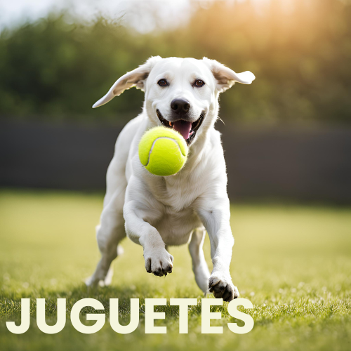Juguetes