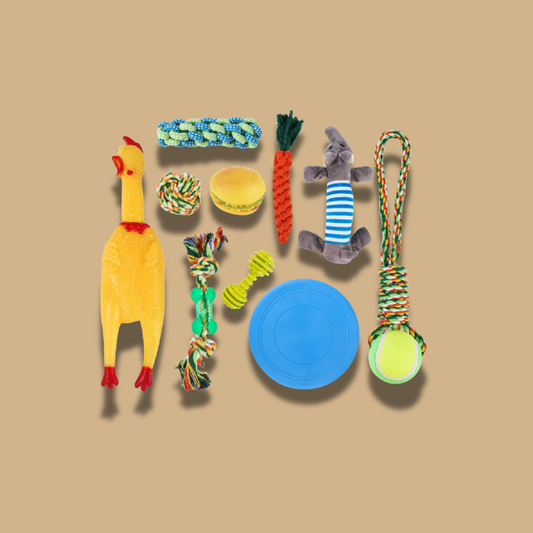 Set 10 Juguetes Para Mascotas Pollo y Hamburguesa