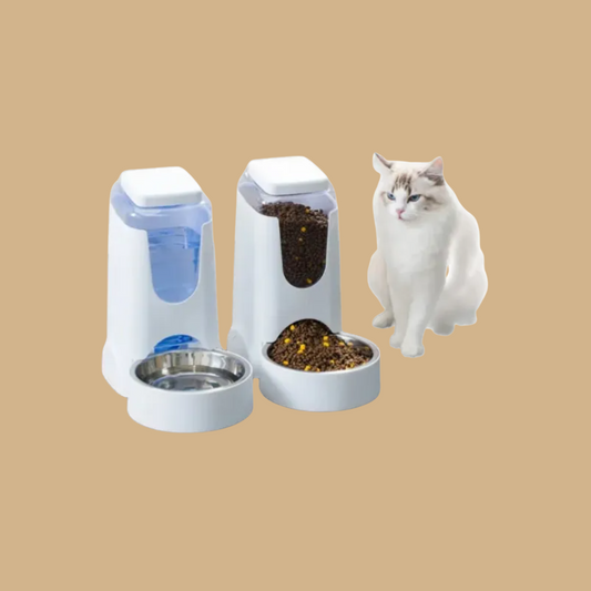 Pack de Dos Comederos Automático Para Gatos Y Dispensador De Agua