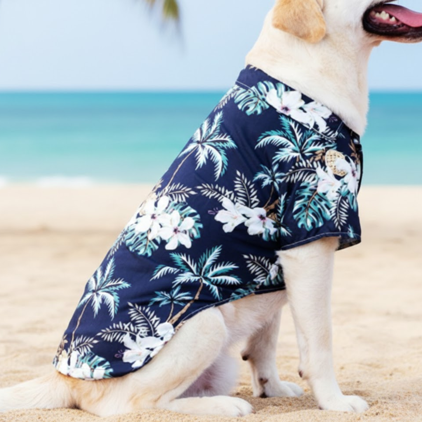 Camisas Aloha Paw - Colección Verano