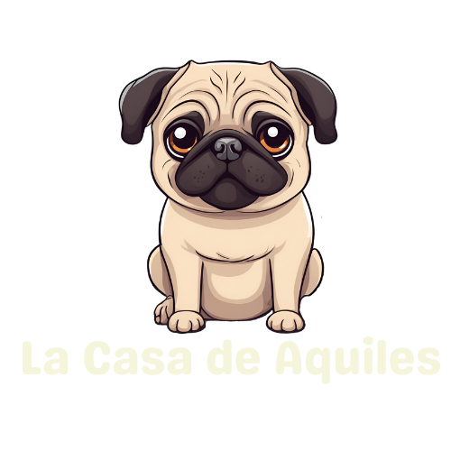 La Casa de Aquiles cl