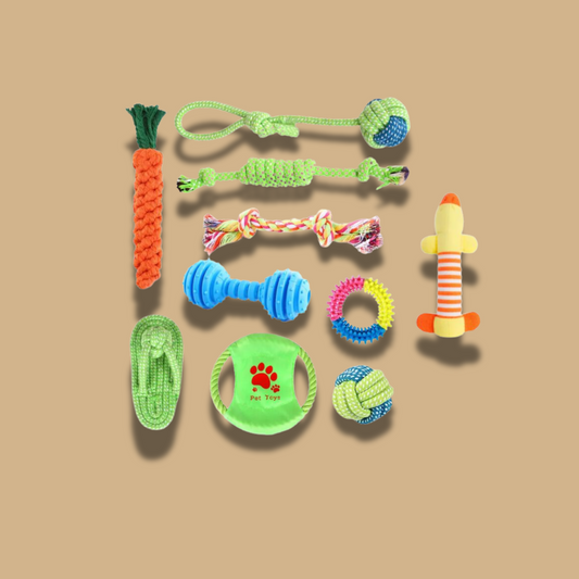 Set 10 Juguetes para Mascotas Pelota de cuerda y Disco